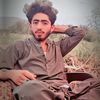 gulzaibrasni