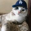 rasyaahmad838