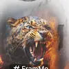 mohamedtahaahme58