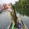 fishingdaddypopaw