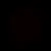 vitin_bra