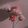 imah21084