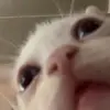 mrcrajbrhc4