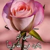 user5838168290975