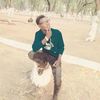 user30226290736241