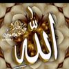 user94359605121254