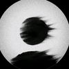 lli___7