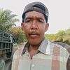 miswanto.wanto01
