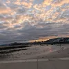 willow_14300