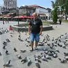 vladan.kocic