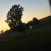 dasha74568