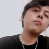 saiga_