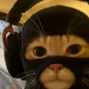 sub2ch33sybacon