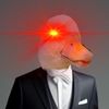 duck1565