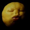 lemon_is_niche