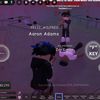 gringeo.1_5