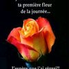 marie.mwange.mmj
