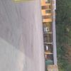 chicho6041