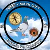 renzcy.marck.loft