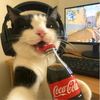 iluvcats830