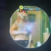 what444tvmini