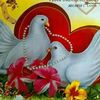 amin.hamido1