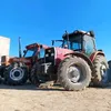 alimehemed6