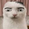 msamansaman7
