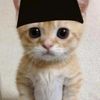 sultan.andararafi.ahmad