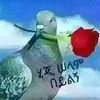 esayas.mesfin3