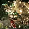 tuyen.tran98