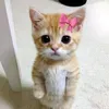 zahra.xe