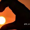 talin869
