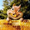 greedy_squirrel
