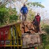 berkah.abadi.kayu