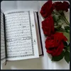 user745198281869