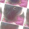 user4948053759119