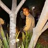 rubel.mia.pro