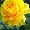 arslan.azam80