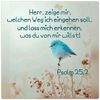 koenigstochter3