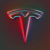 tesla.guy6