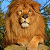 yasser.hassan447
