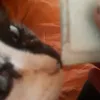 brrranuel59