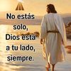 alfchavez502