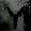 dark_angel12908