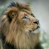 adam.mohamed3404