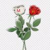 hendraindeksutisn5