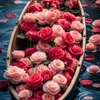 mohmadmohmad3670