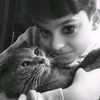 ayaz_derlerrr