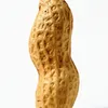 nothanksmate2